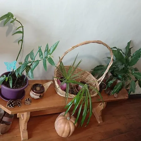 Du Moulin * Gunsbach