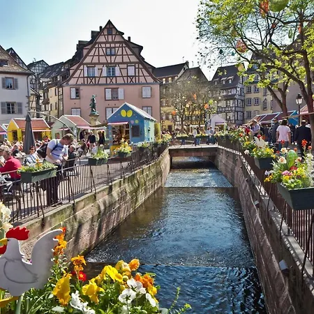 Du Moulin Holiday home Gunsbach