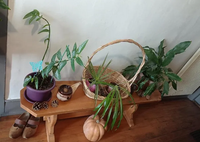 Du Moulin * Gunsbach